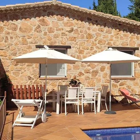 Conchita بلاتجا ذارو